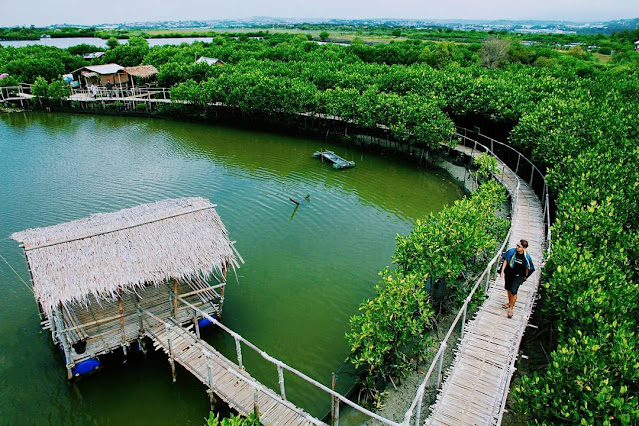 Maron Mangrove Edupark