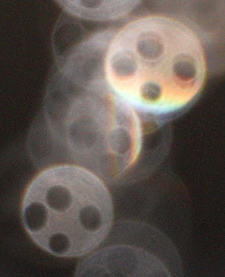 button-like orbs