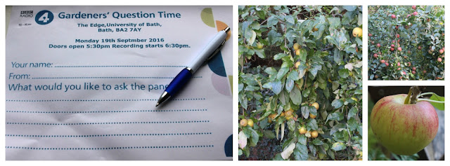 GQT question paper and apple trees