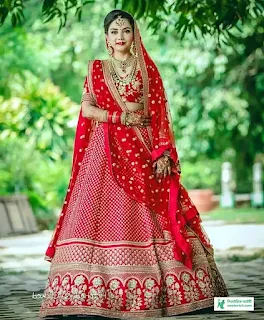 Indian Lehenga Designs - Lehenga Designs 2023 - Indian Lehenga Designs - Lehenga Designs Images Price Bangladesh - Lehenga Designs - NeotericIT.com - Image no 21