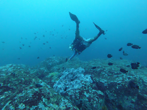 Scuba diving in Weligama