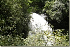 DSCF2876