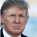 Donald J. Trump Early Life, Age, Family, Political Career, Religion, Books, Acting, Public profile, Climate, Economy, Sexual misconduct, Biography