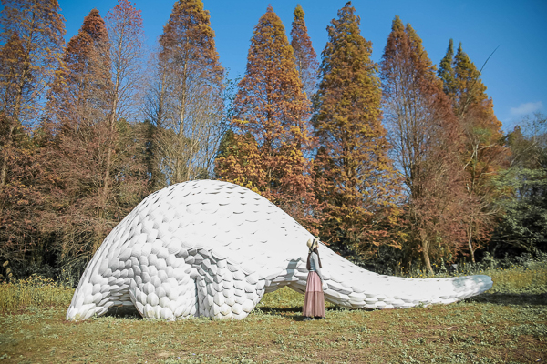 新竹橫山韓屋落羽松田趣基地500公尺落羽松，隱藏穿山甲巨獸