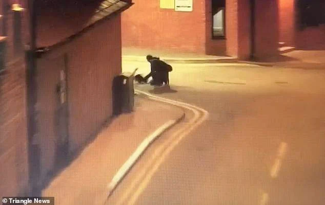 Artur Zakowicz beats his cat Bashik in the street with CCTV watching