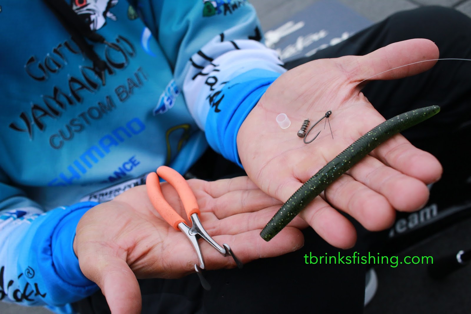 T Brinks Fishing: Neko Rig Tricks