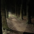Light on Earth | Poetry of Light