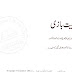 Bait Bazi(2nd book) 