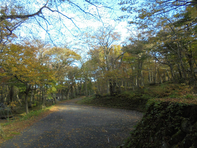 下山キャンプ場