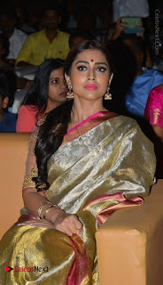 Actress Shriya Saran New Images in Silk Saree at Gautamiputra Satakarni Audio Launch  0024.jpg