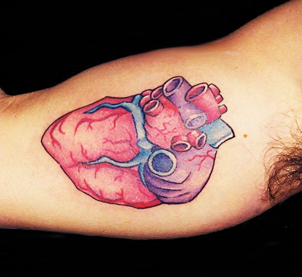 Tattoo Color Human Heart Inside Arm Email ThisBlogThis