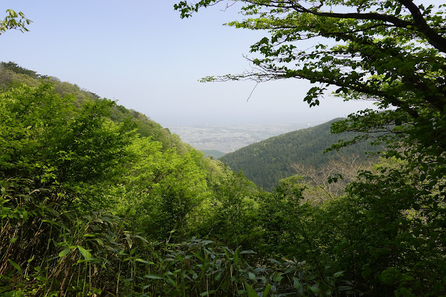 鳥取県西伯郡大山町長田 孝霊山登山道からの眺望