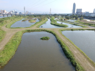 新海二期人工溼地