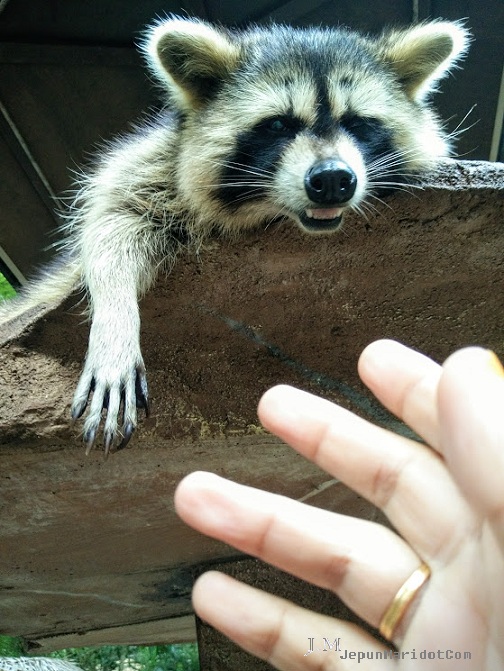 bercuti di Lost World of Tambun