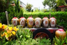 活力牛車