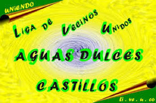 www.ligavecinosunidos.blogspot.com