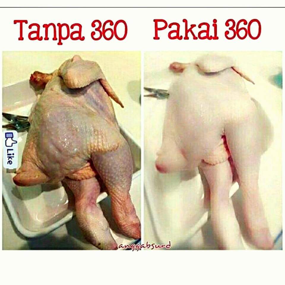 Meme Ayam Tanpa 360 Vs Pakai 360 Meme Lucu Indonesia