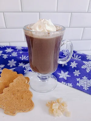 Gingerbread Hot Cocoa