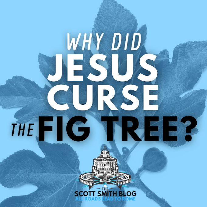 Why Does Jesus Curse the Fig Tree? (Mark 11) What Was the Fruit of The Tree of Knowledge of Good and Evil? Holy Monday of Holy Week