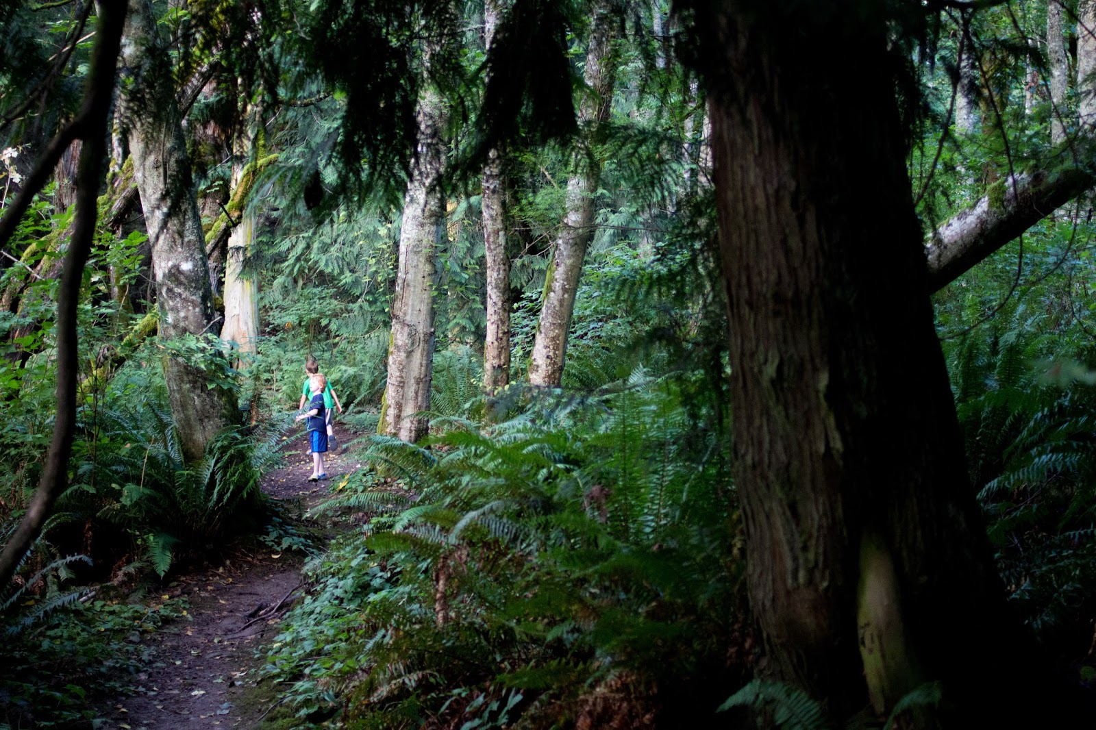 Larrabee State Park