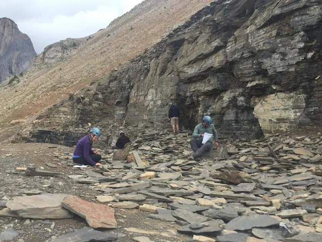 burgess shale