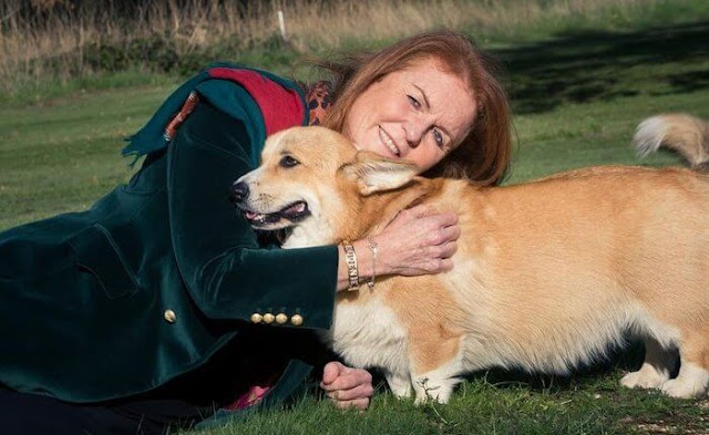 The Duke and Duchess of York have rehomed Sandy and Muick, the late Queen's beloved Corgis