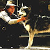 White Fang - White Fang Movie Online