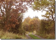 autumn the crossings2