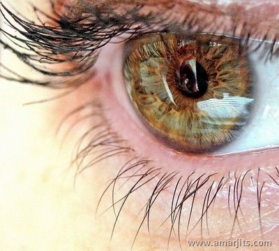 Beautiful-Eyes-amarjits-com (2)