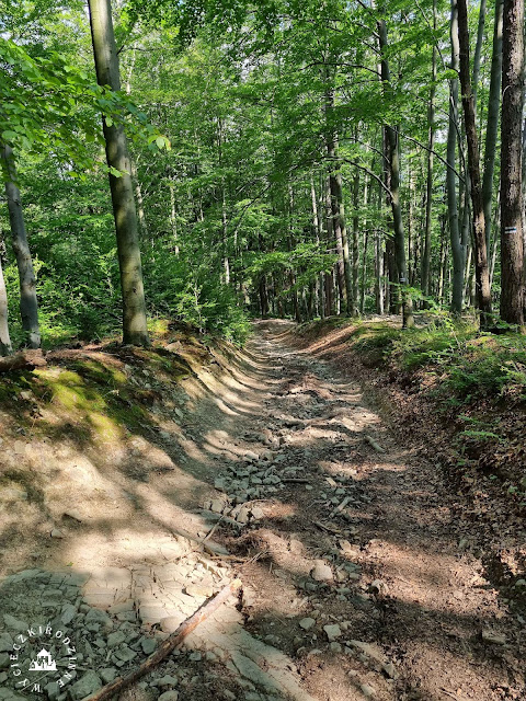 Beskid Śląski wyprawa na Skrzyczne