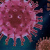 Identifican moléculas que frenan la entrada del coronavirus en las células