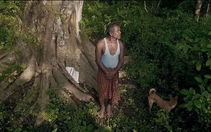 40 Years Ago A 16-Year-Old Began Planting A Tree Every Day On A Remote Island, And Today It’s Unrecognizable