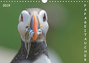 Papageitaucher (Wandkalender 2019 DIN A4 quer): Faszinierende Bilder aus dem Alltag der Papageitaucher (Monatskalender, 14 Seiten ) (CALVENDO Tiere)