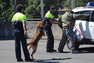 Los perros de la Policía Municipal muestran sus habilidades en Retuerto en una sofocante jornada