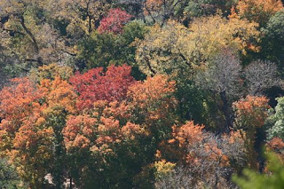  Biosfer ialah zona bersahabat permukaan bumi Pintar Pelajaran Keanekaragaman Flora Dan Fauna Di Dunia dan Indonesia