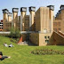 Brown University 