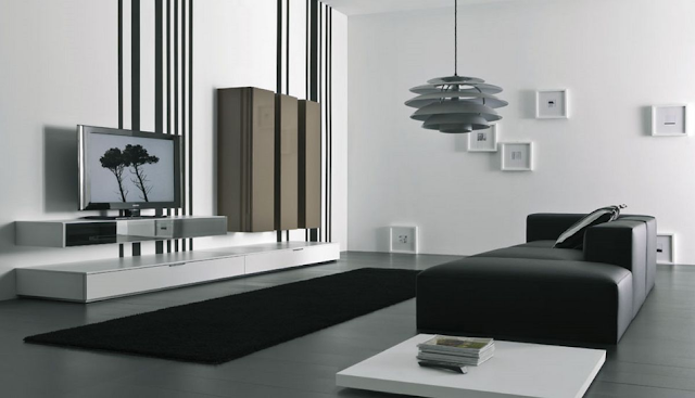 WONDERFULL BLACK AND WHITE INTERIOR DESIGNS