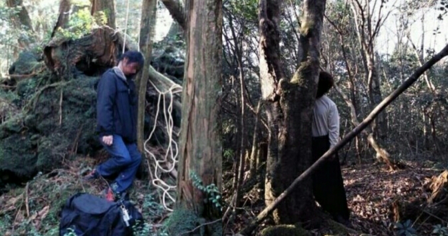 Jepun: Seram! Lebih 500 kes bunuh diri di hutan Aokigahara 
