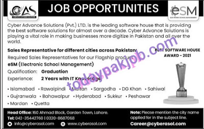 cyber-advance-solutions-jobs-2021.html