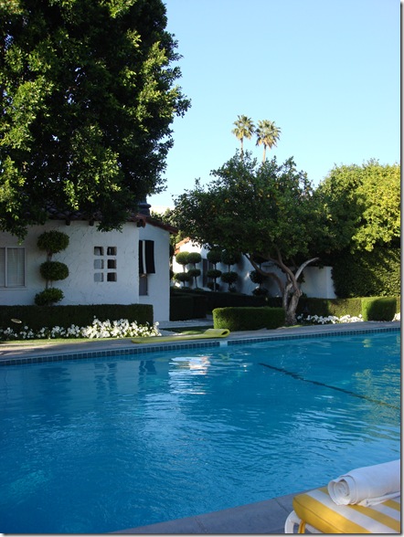 Palm Springs 3 131