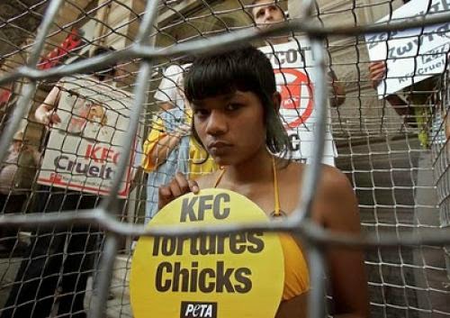 Kfc Halal Meat Angers Muslims