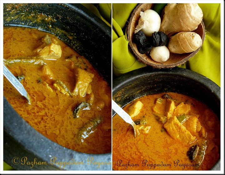ammas meencurry