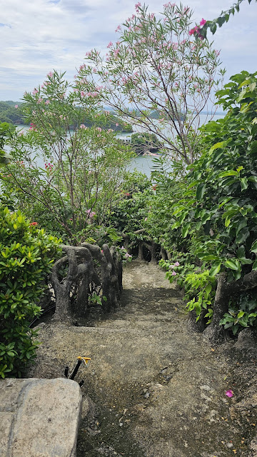 Beautiful path undwr flowing bush