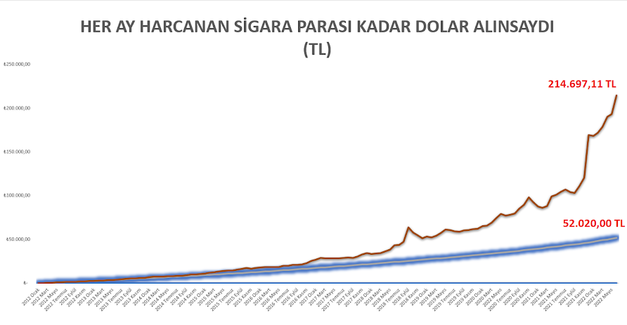 VESBE Hisse Analizi