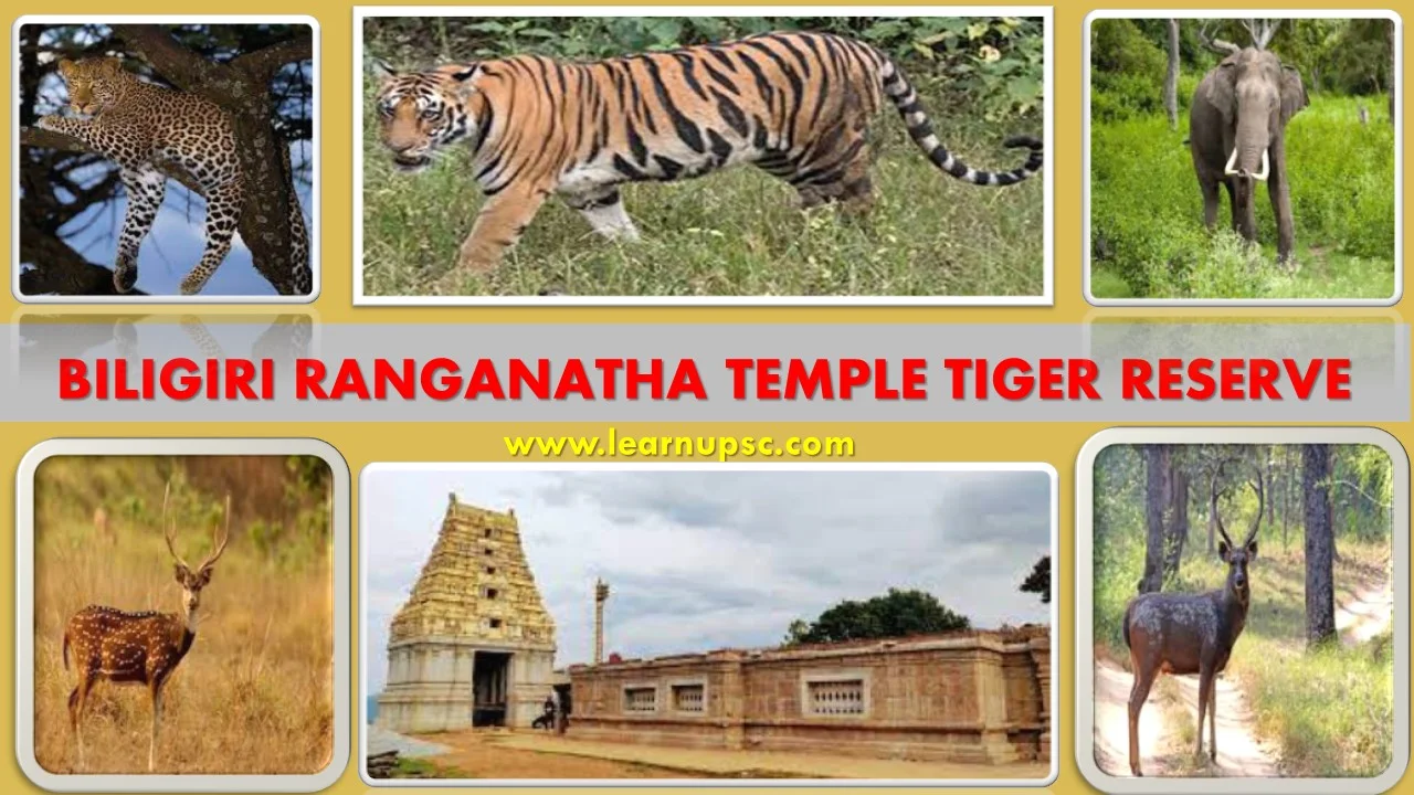 Biligiri Ranganatha Temple Tiger Reserve