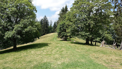 Pfad über die Wiese zur Falkenfluh