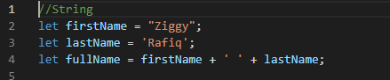 JavaScript Primitive Data Types example of string in Ziggy Rafiq Blog Post