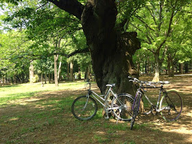 代々木公園でサイクリング