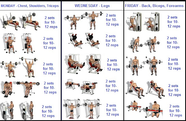 3 Day a Week Routine