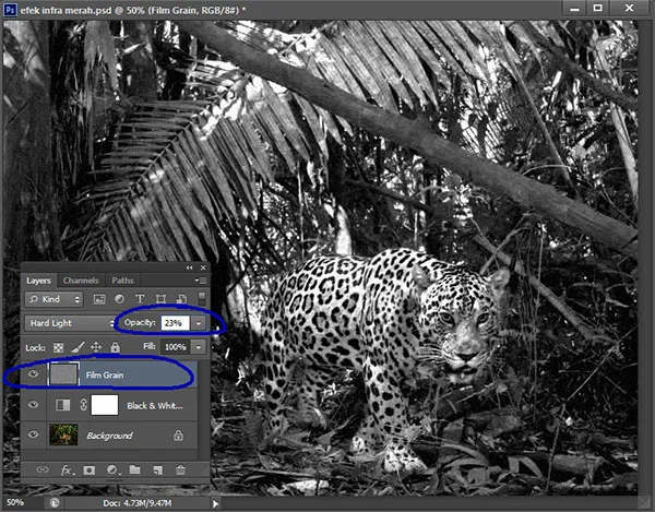 https://mudahtrik.blogspot.com/2013/08/tutorial-membuat-efek-infra-merah.html